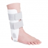 Bivalve ankle support
with padded inserts